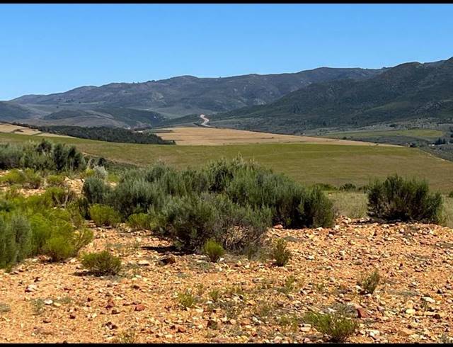 FARM FOR SALE IN GEORGE RURAL